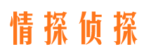 盐亭寻人公司